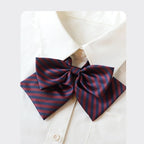 College Style Bow Tie - Modomu