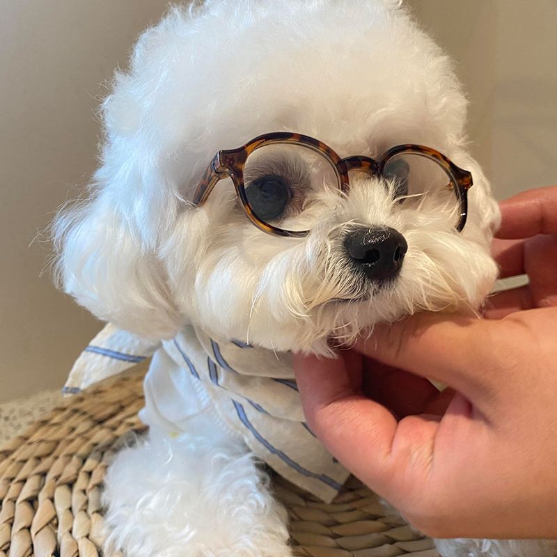 Pet Glasses Fun Photo Accessory
