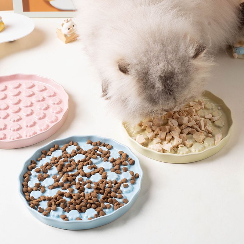 Ceramic Pet Slow Feed Bowl