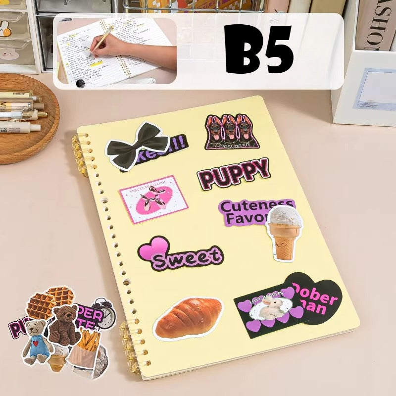 B5 Loose Leaf Study Notebook - Modomu