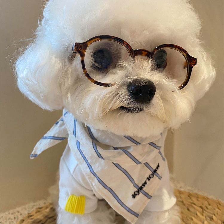 Pet Glasses Fun Photo Accessory
