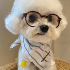 Pet Glasses Fun Photo Accessory