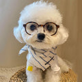 Pet Glasses Fun Photo Accessory