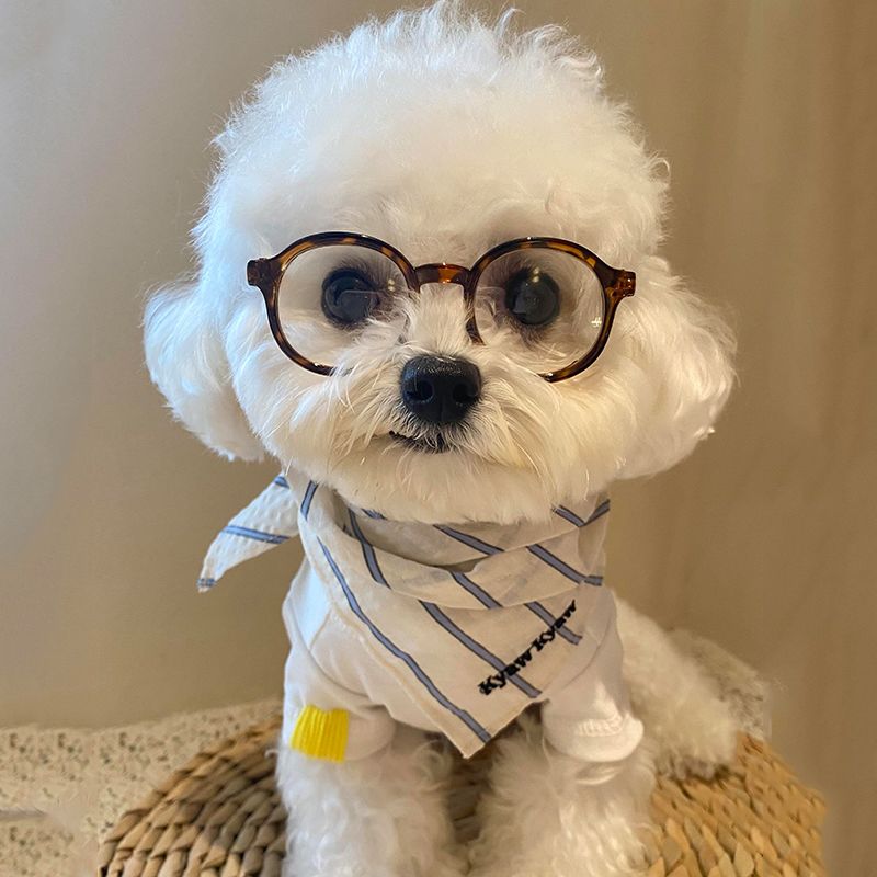 Pet Glasses Fun Photo Accessory