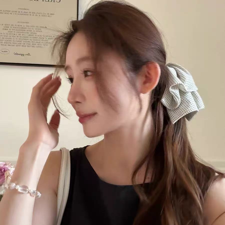 Embroidered Lace Ponytail Clip