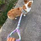 Braided Charm Dog Leash