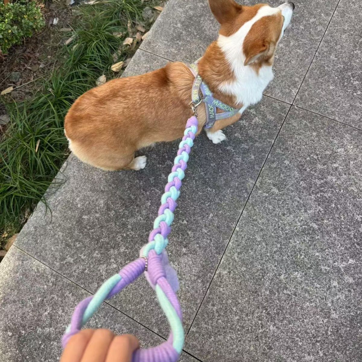 Braided Charm Dog Leash