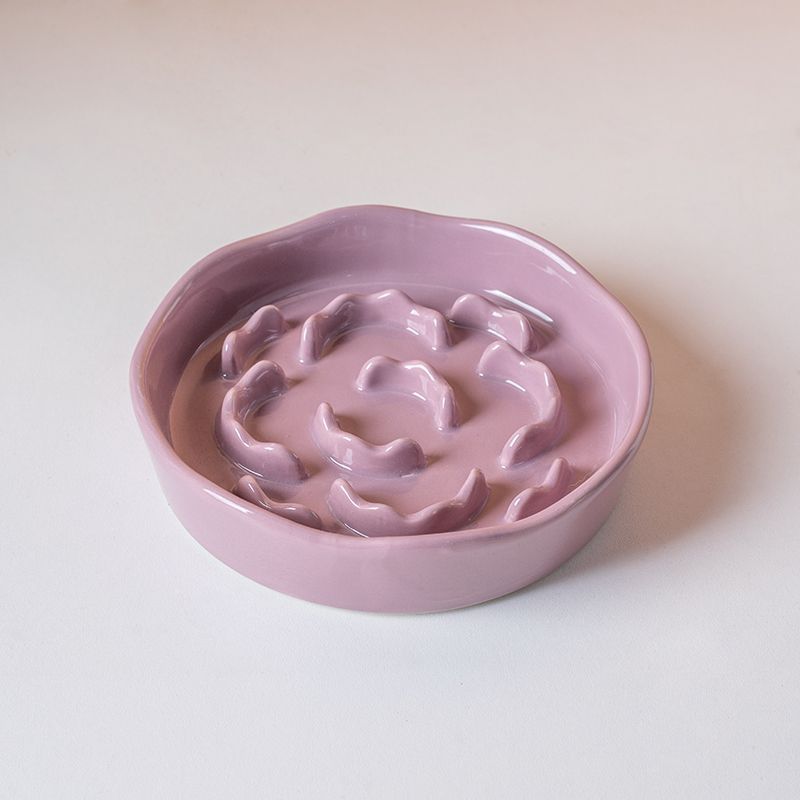 Ceramic Pet Slow Feeder Bowl