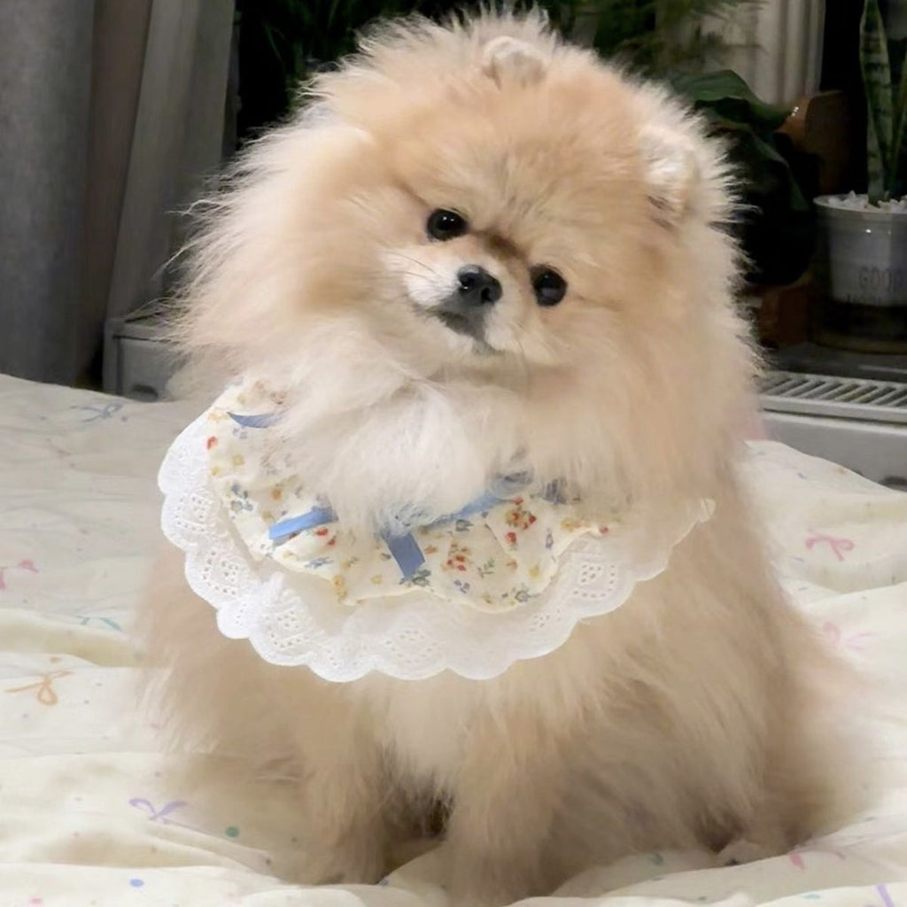 Pet Bib with Floral Bow