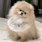Pet Bib with Floral Bow
