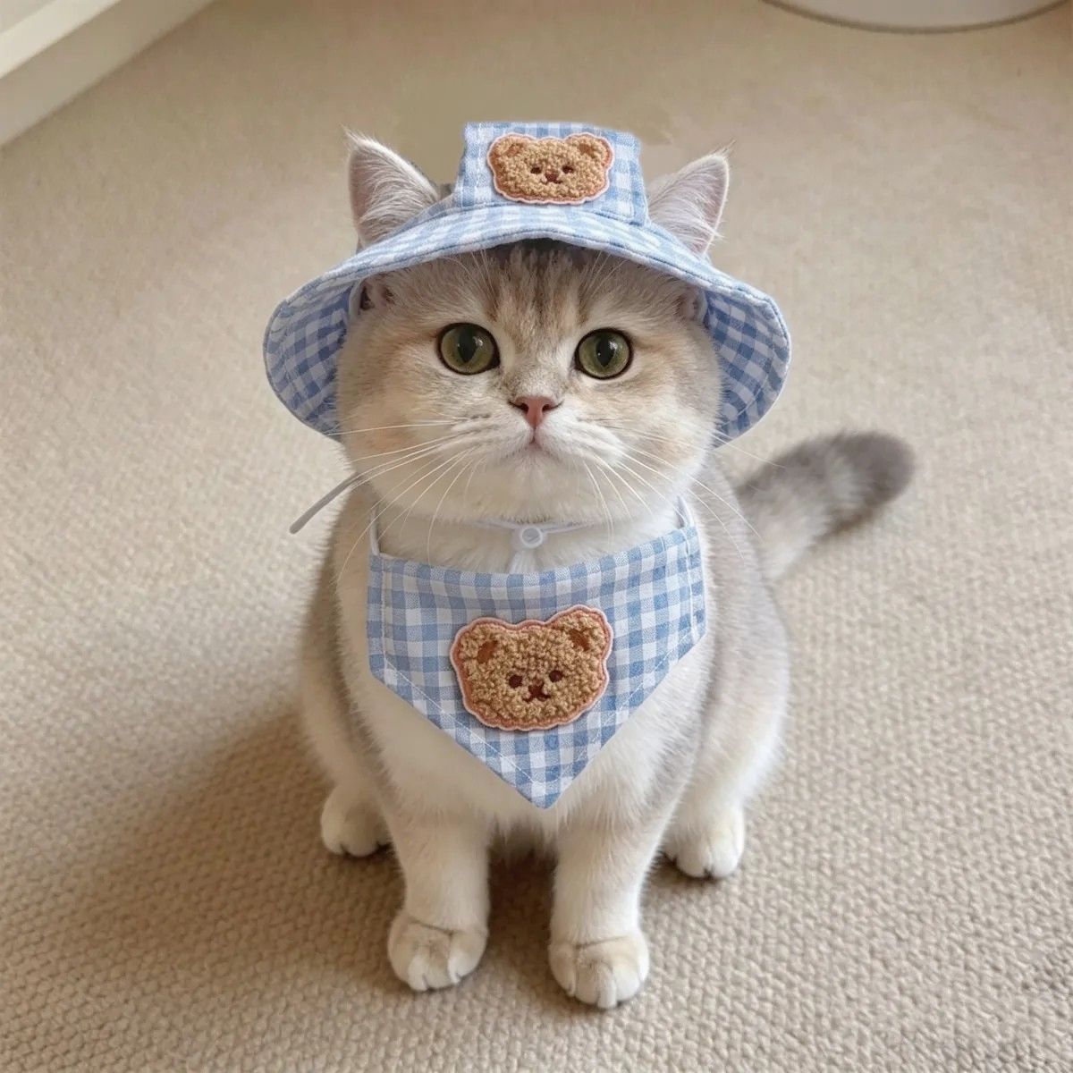 Bear Patch Gingham Pet Hat