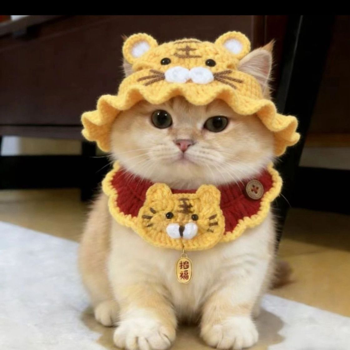 Festive Pet Tiger Head Scarf