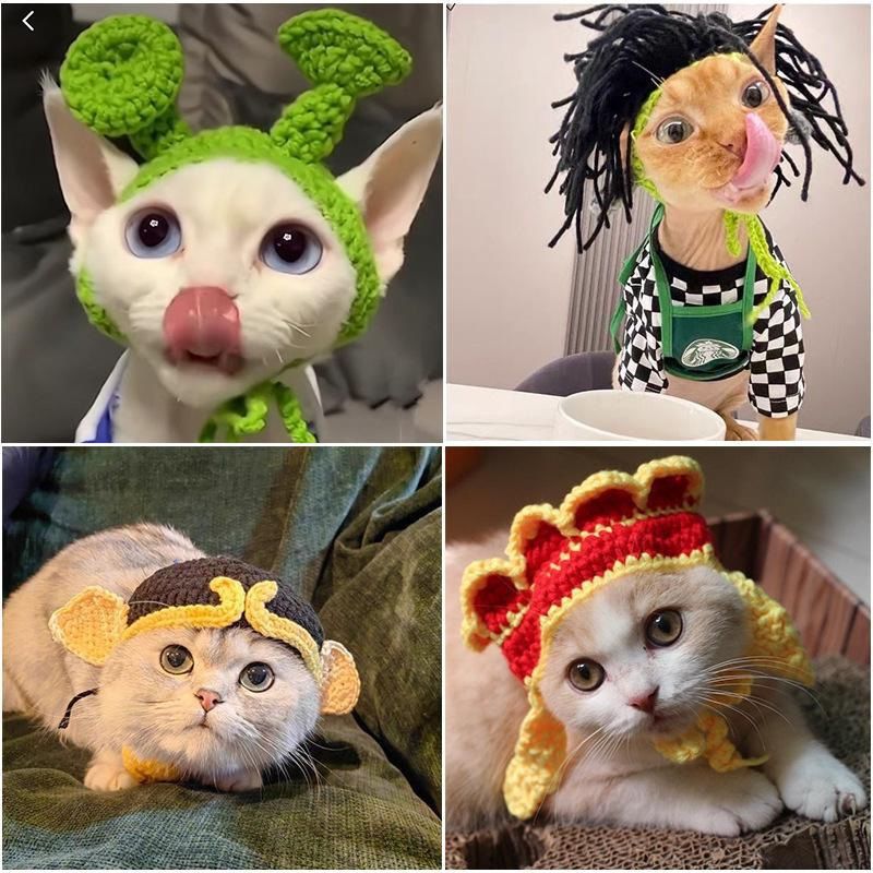Knit Pet Hat Frog Design