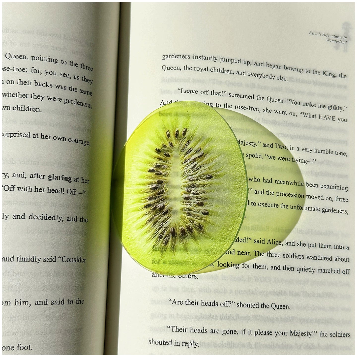 Acrylic Fruit Illustration Bookmark