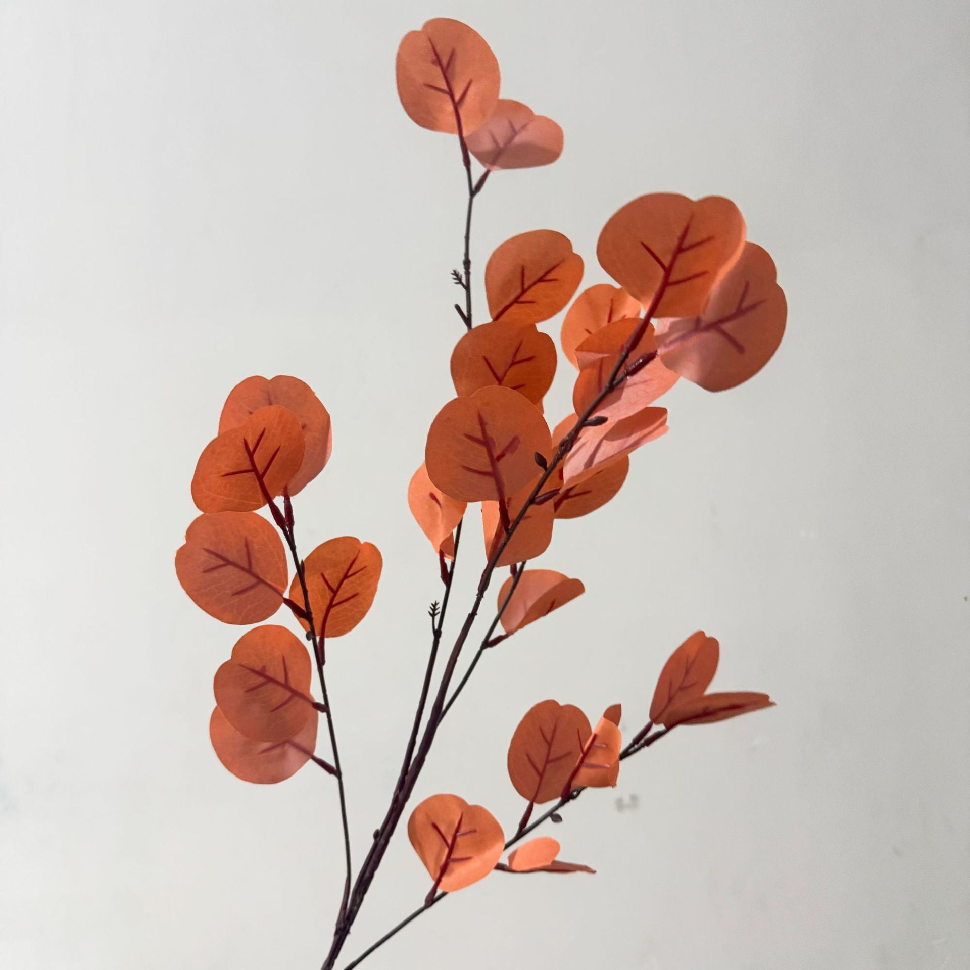 Artificial Eucalyptus Leaf Stem - Modomu