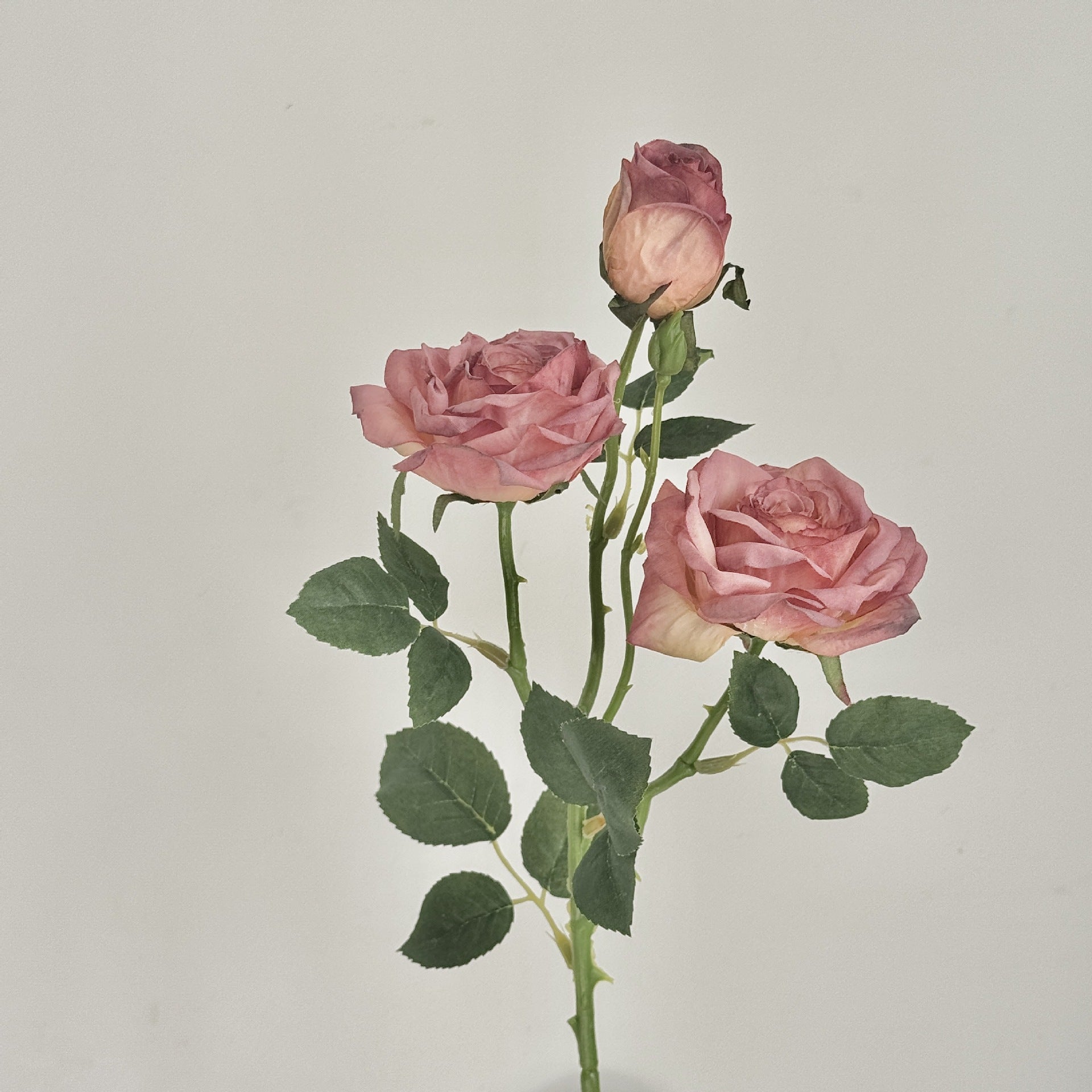 Retro Burnt Edge Rose Bouquet - Modomu