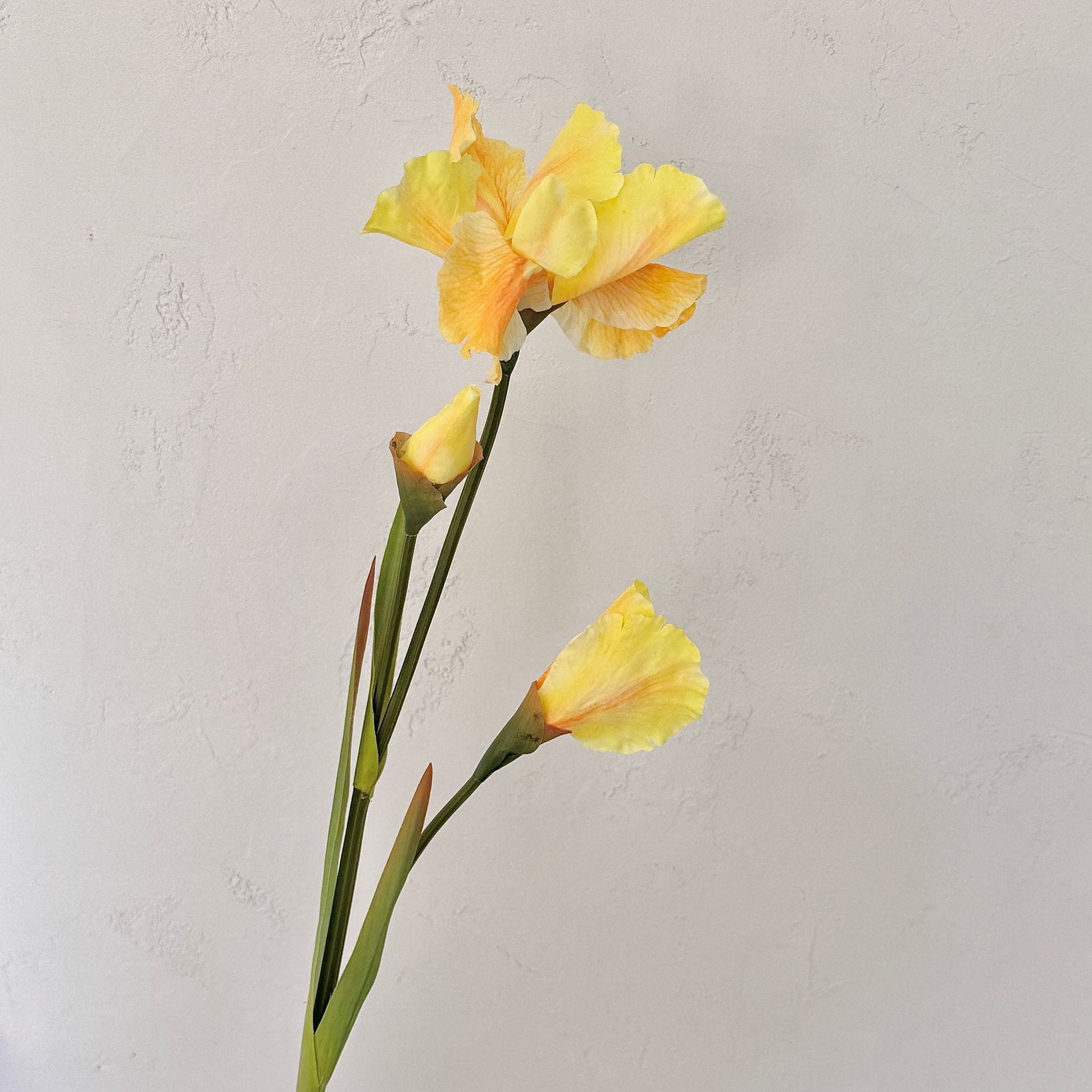 Artificial Iris Flower Stem Arrangement - Modomu