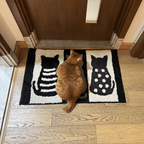 Cute Cat Doormat for Entryways - Modomu