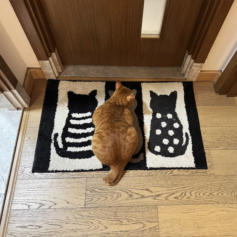 Cute Cat Doormat for Entryways - Modomu