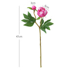 Single Stem Peony Artificial