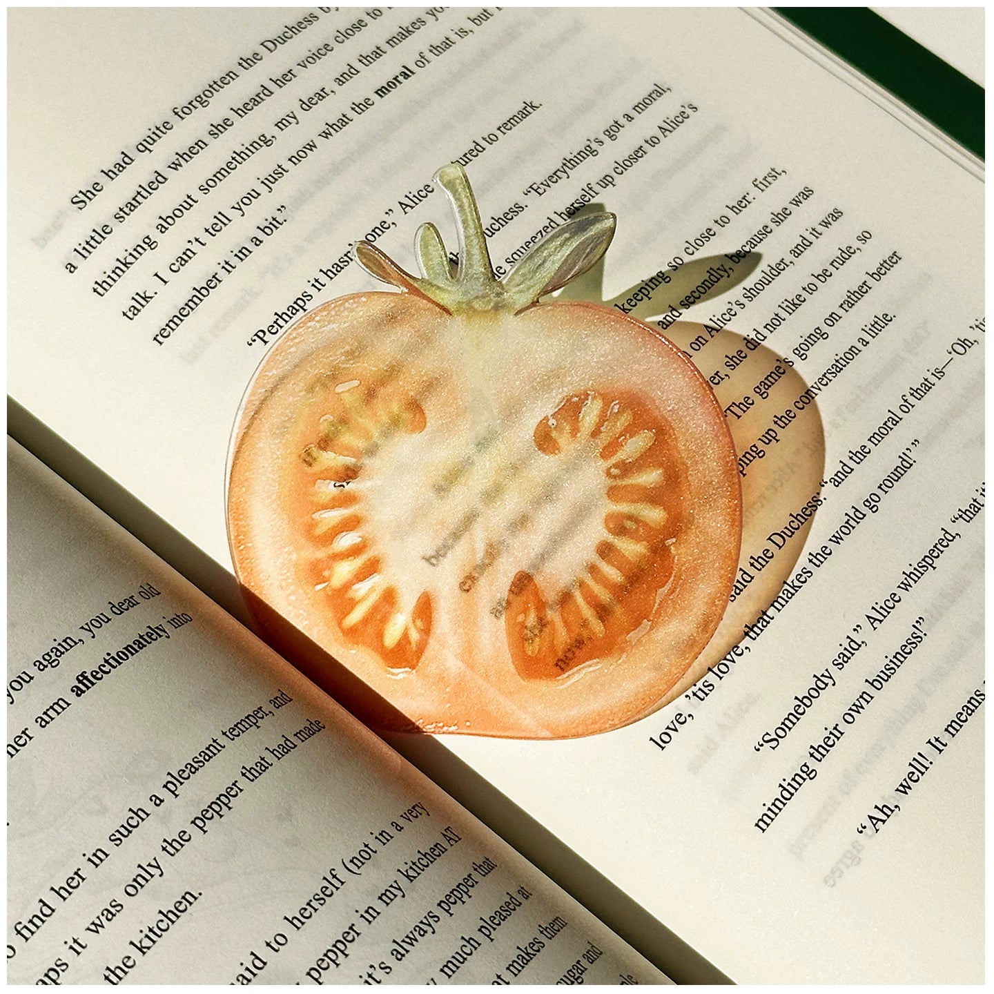 Acrylic Fruit Illustration Bookmark - Modomu