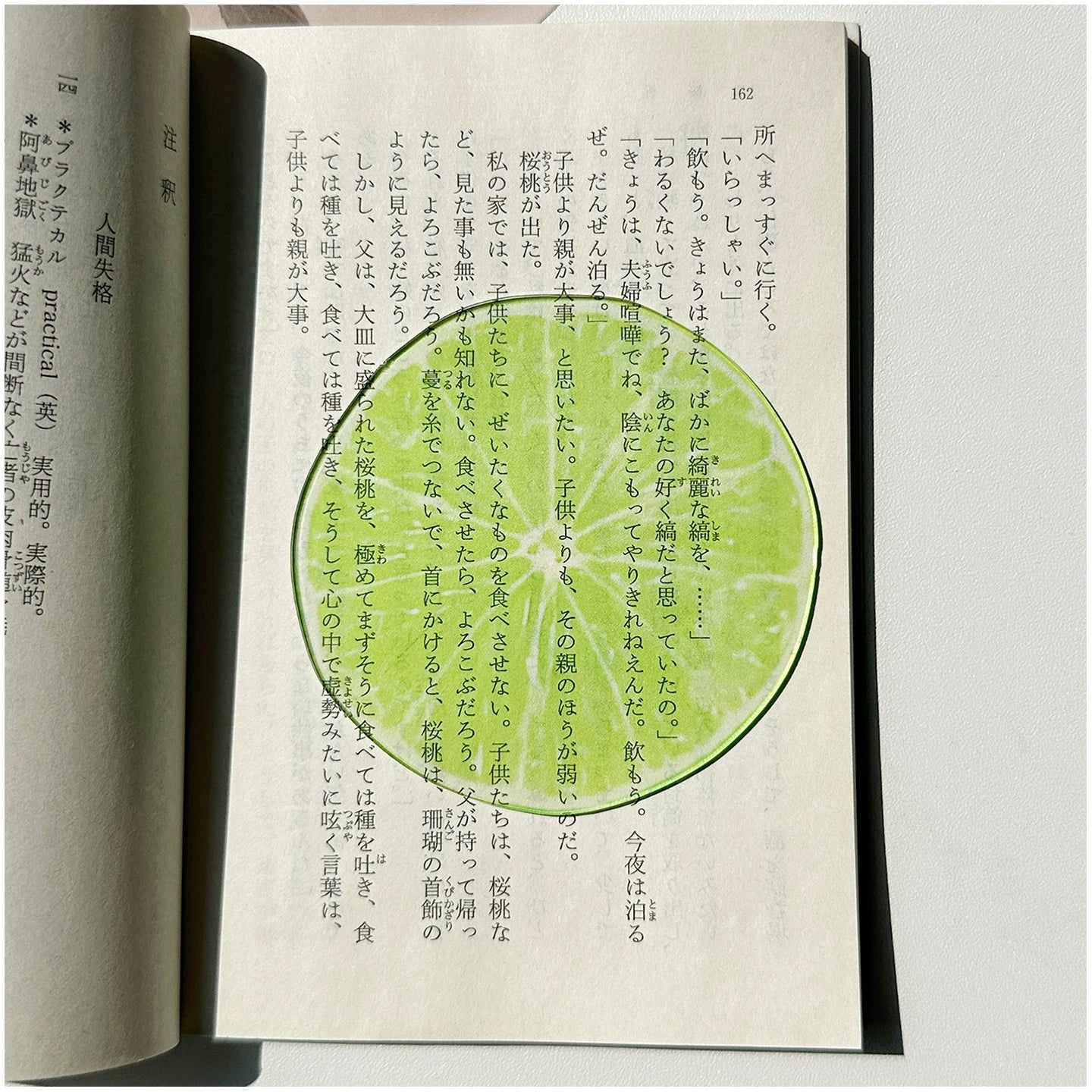 Acrylic Fruit Illustration Bookmark - Modomu