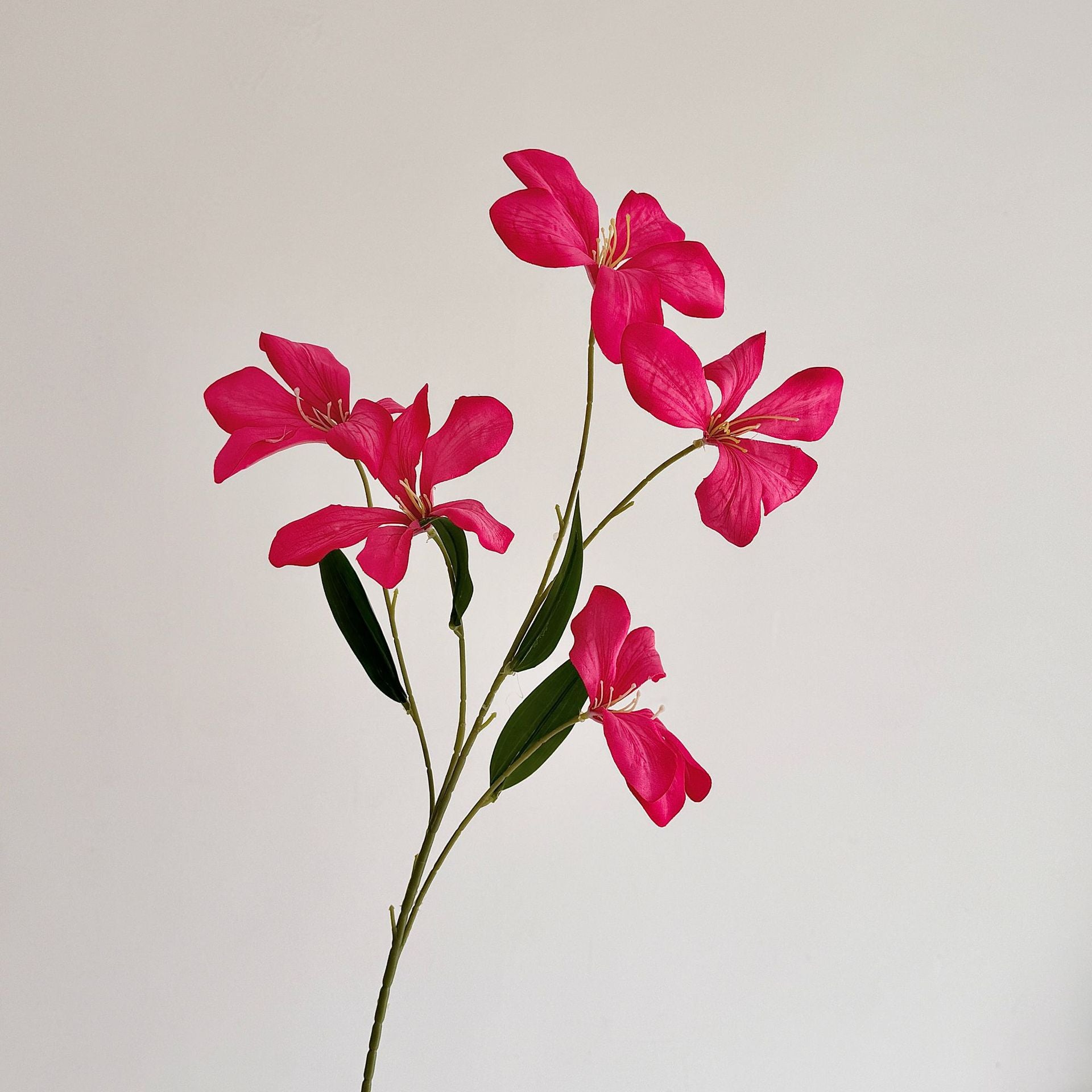 Flame Orchid Artificial Flower Stem - Modomu