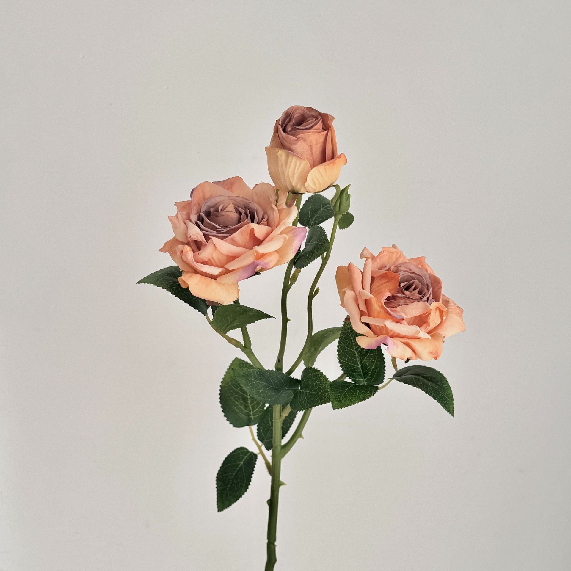 Retro Burnt Edge Rose Bouquet - Modomu