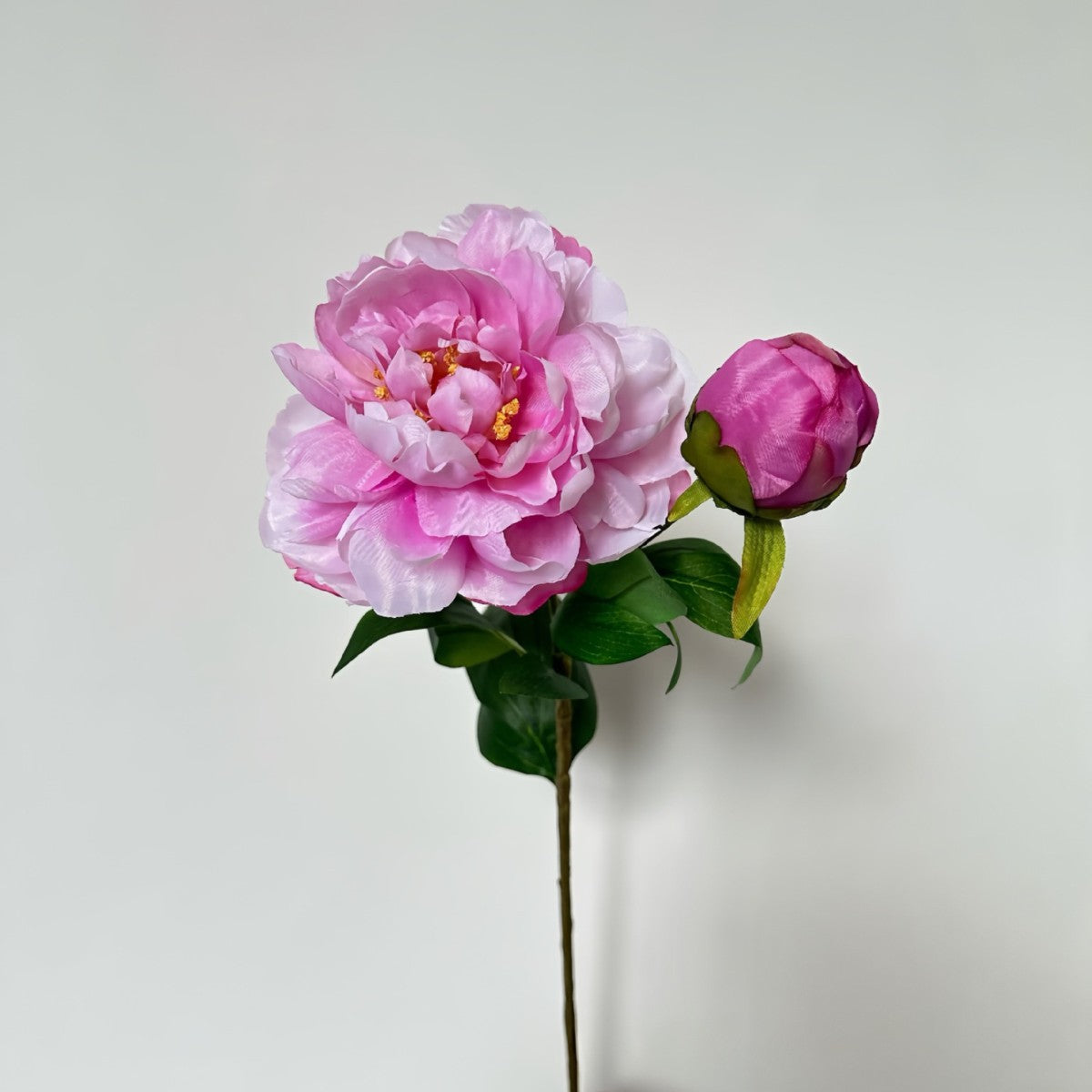 Artificial Peony Stem with Buds - Modomu