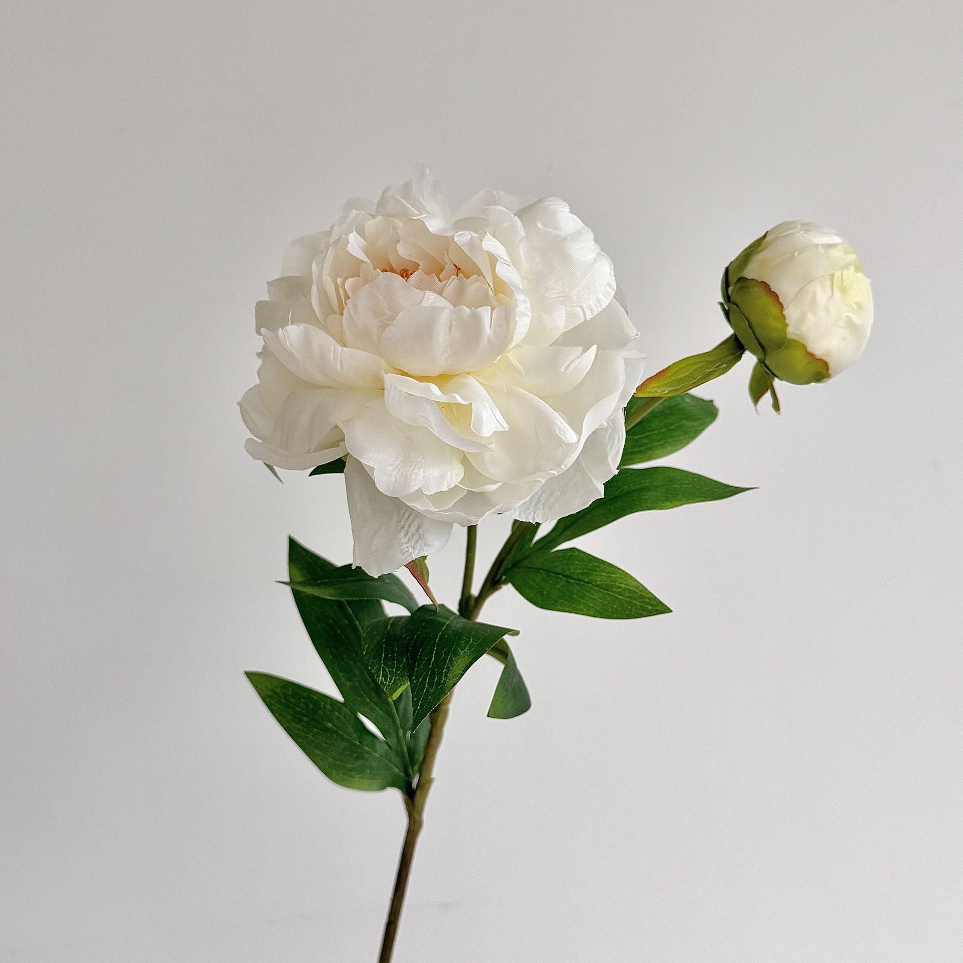 Artificial Peony Stem with Buds - Modomu