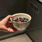 Dopamine Fruit Tray Draining Basket