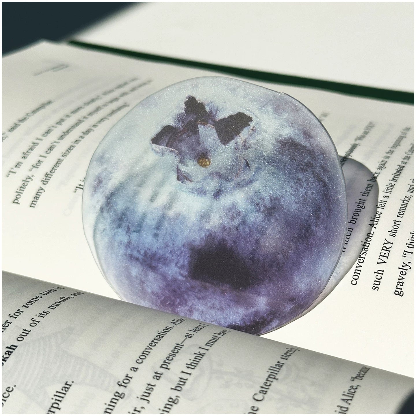 Acrylic Fruit Illustration Bookmark - Modomu