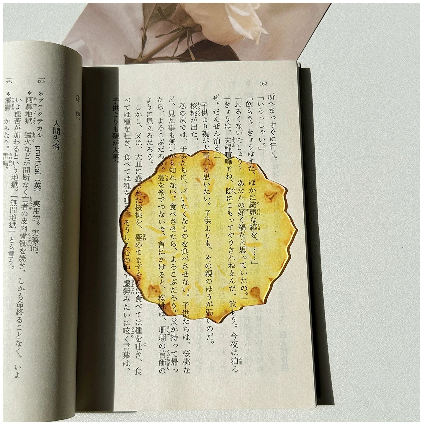 Acrylic Fruit Illustration Bookmark - Modomu