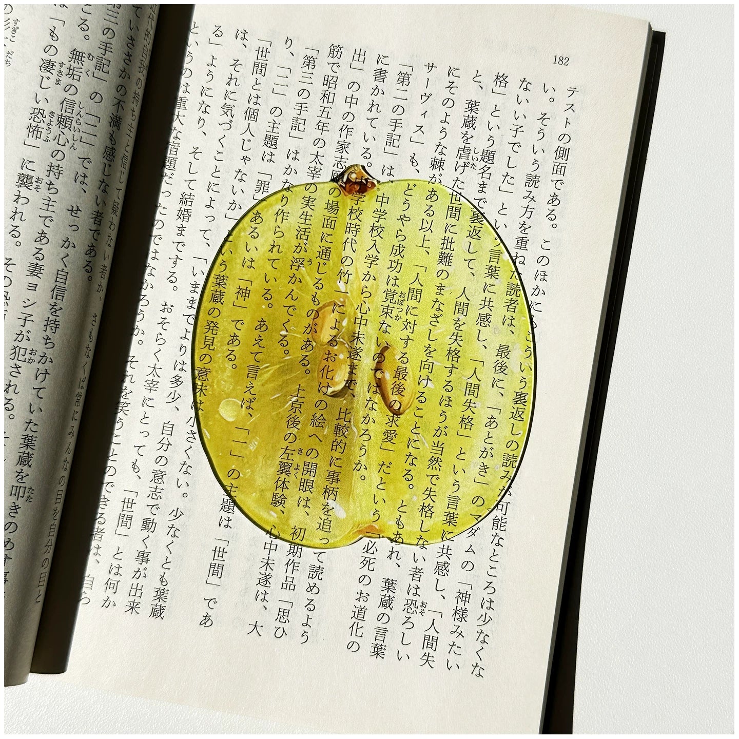 Acrylic Fruit Illustration Bookmark - Modomu