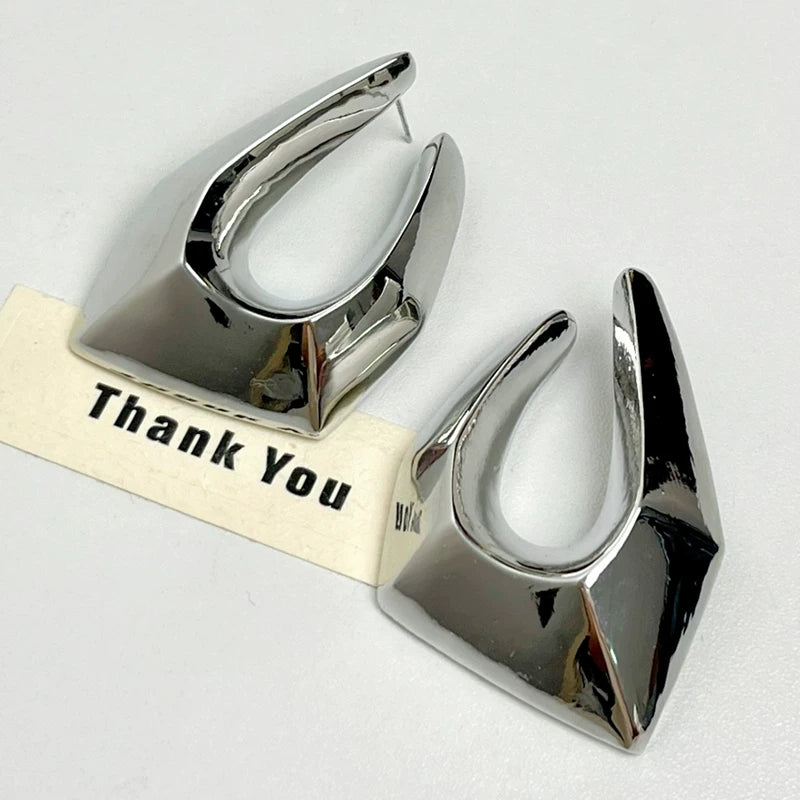Irregular Metal Line Earrings - Modomu