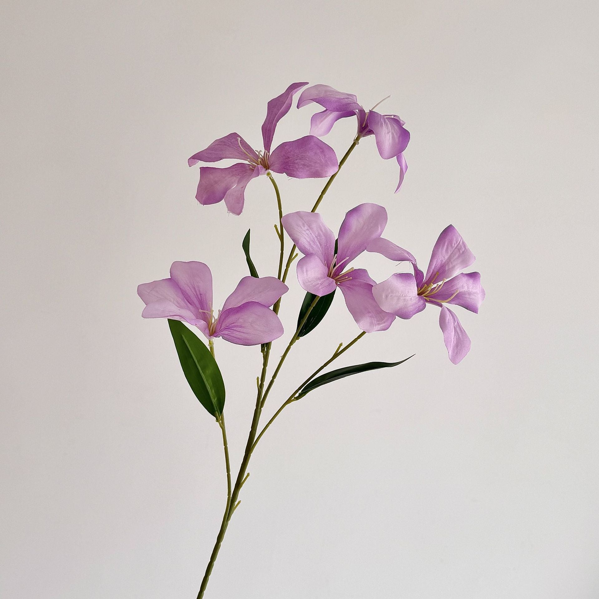 Flame Orchid Artificial Flower Stem - Modomu