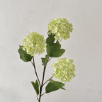 Hydrangea Artificial Flower Stem - Modomu