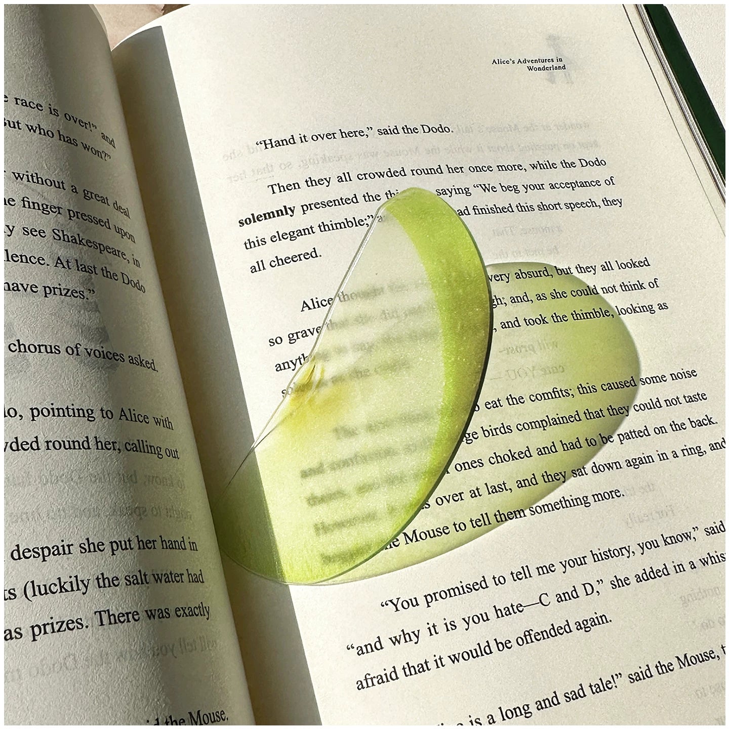 Acrylic Fruit Illustration Bookmark - Modomu
