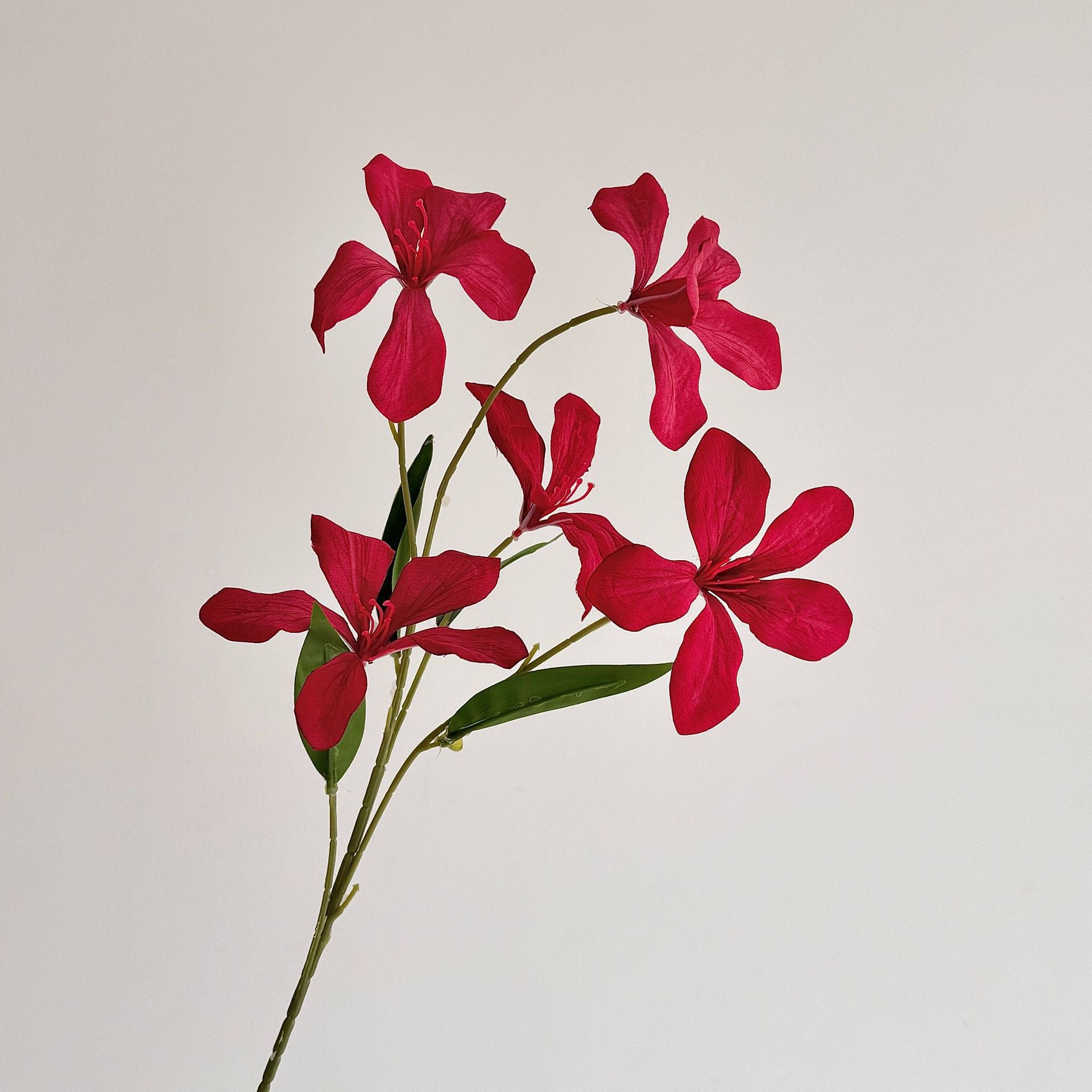 Flame Orchid Artificial Flower Stem - Modomu