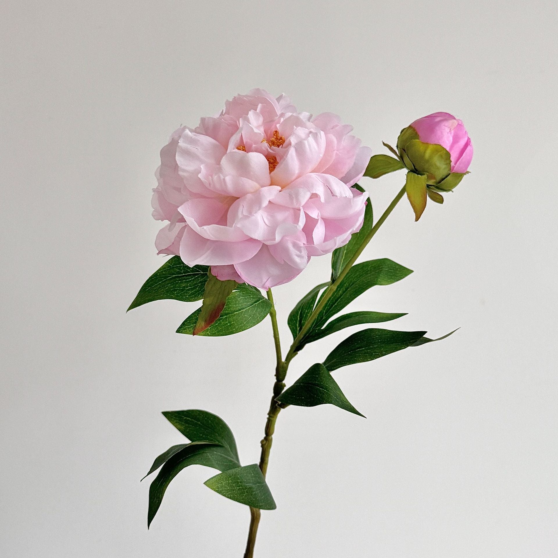 Artificial Peony Stem with Buds - Modomu