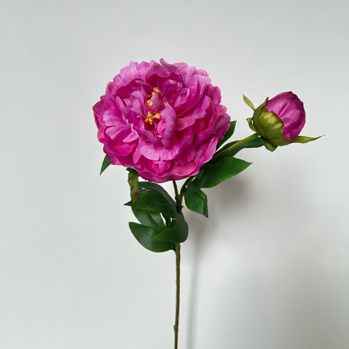 Artificial Peony Stem with Buds - Modomu