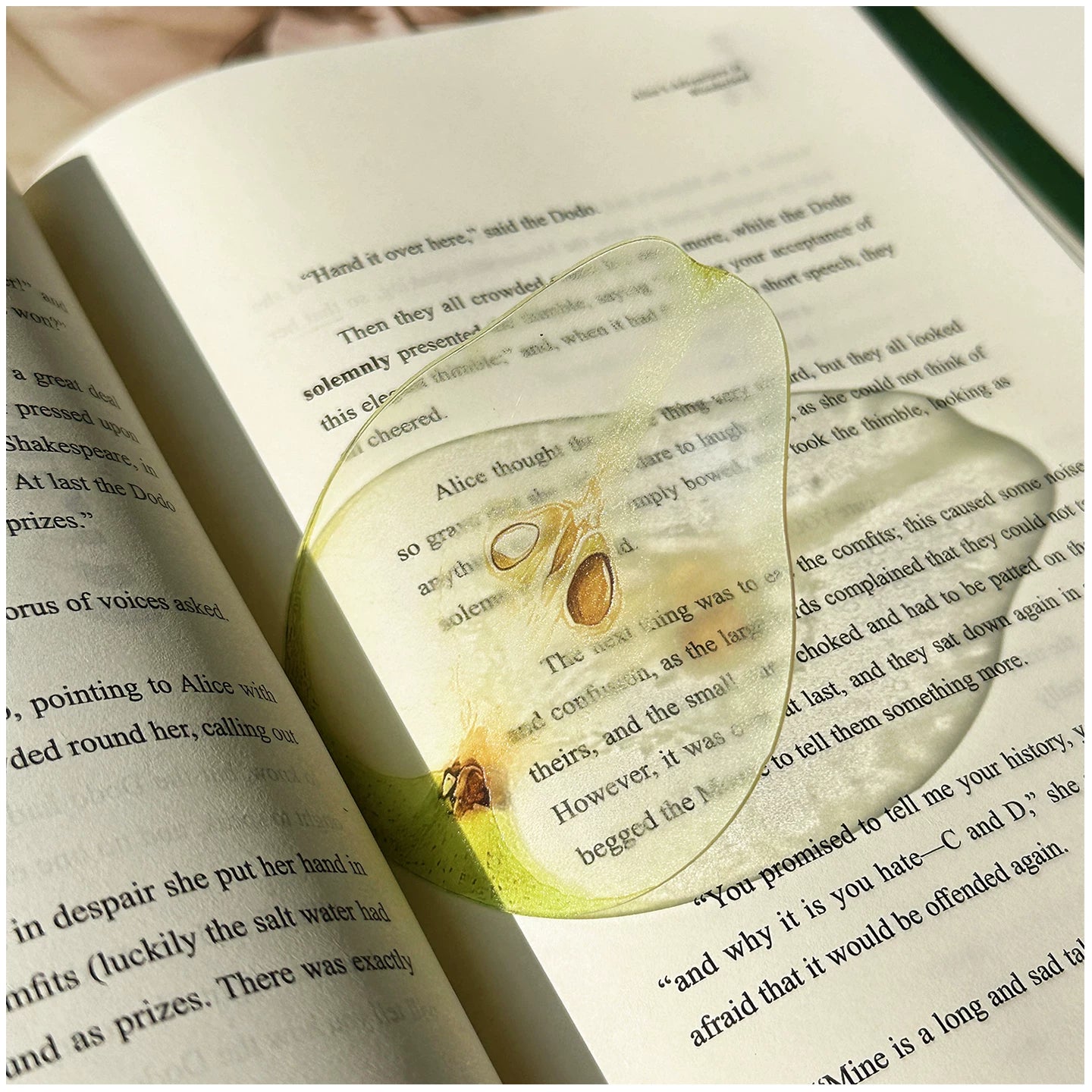 Acrylic Fruit Illustration Bookmark - Modomu