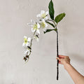 Hanging Silk Jasmine Spray - Modomu