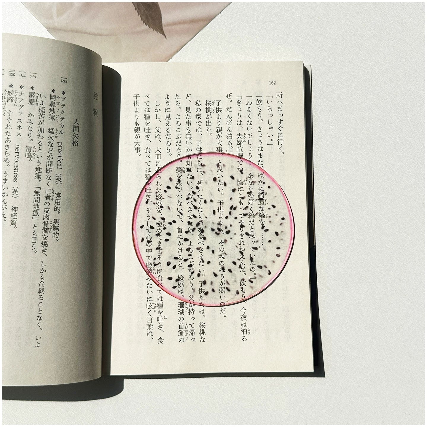 Acrylic Fruit Illustration Bookmark - Modomu