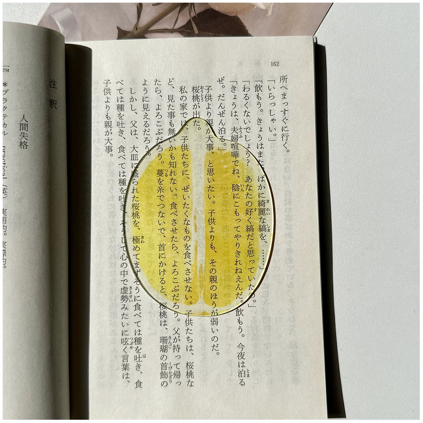 Acrylic Fruit Illustration Bookmark - Modomu