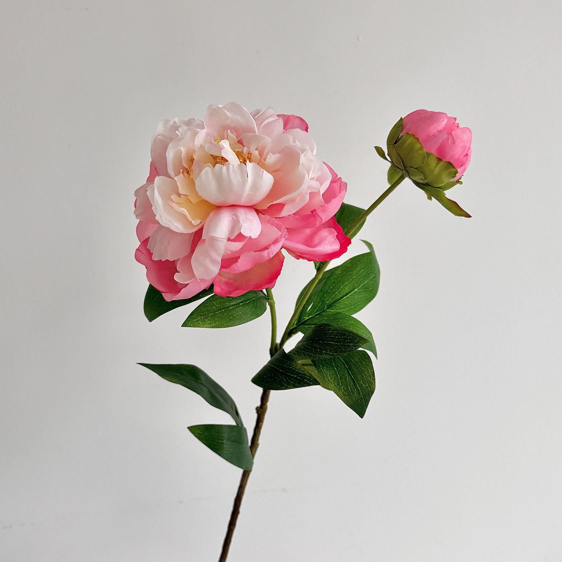 Artificial Peony Stem with Buds - Modomu