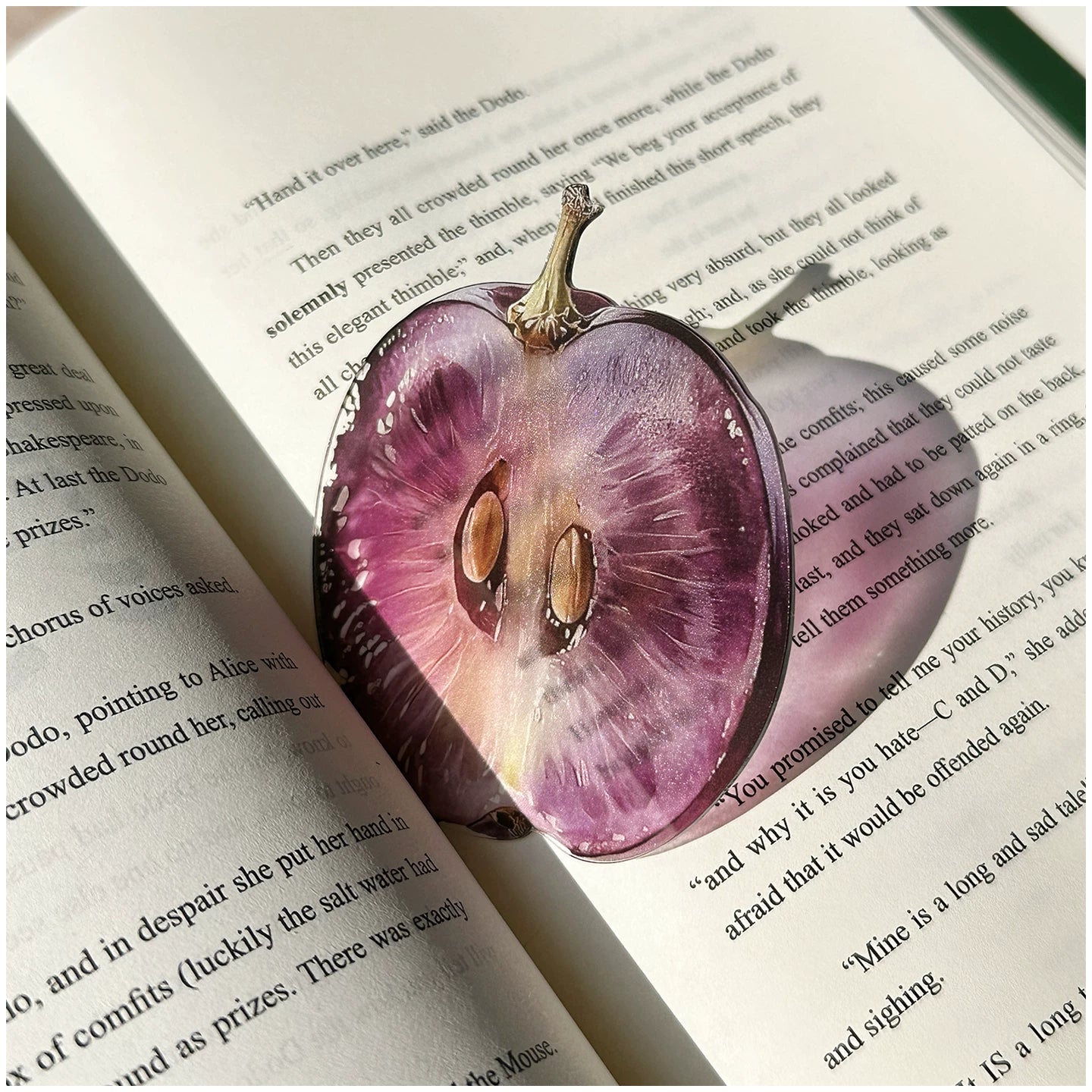 Acrylic Fruit Illustration Bookmark