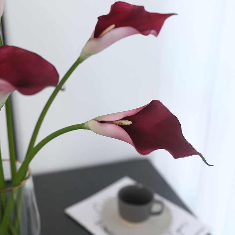 Long Stem Calla Lily Spray - Modomu