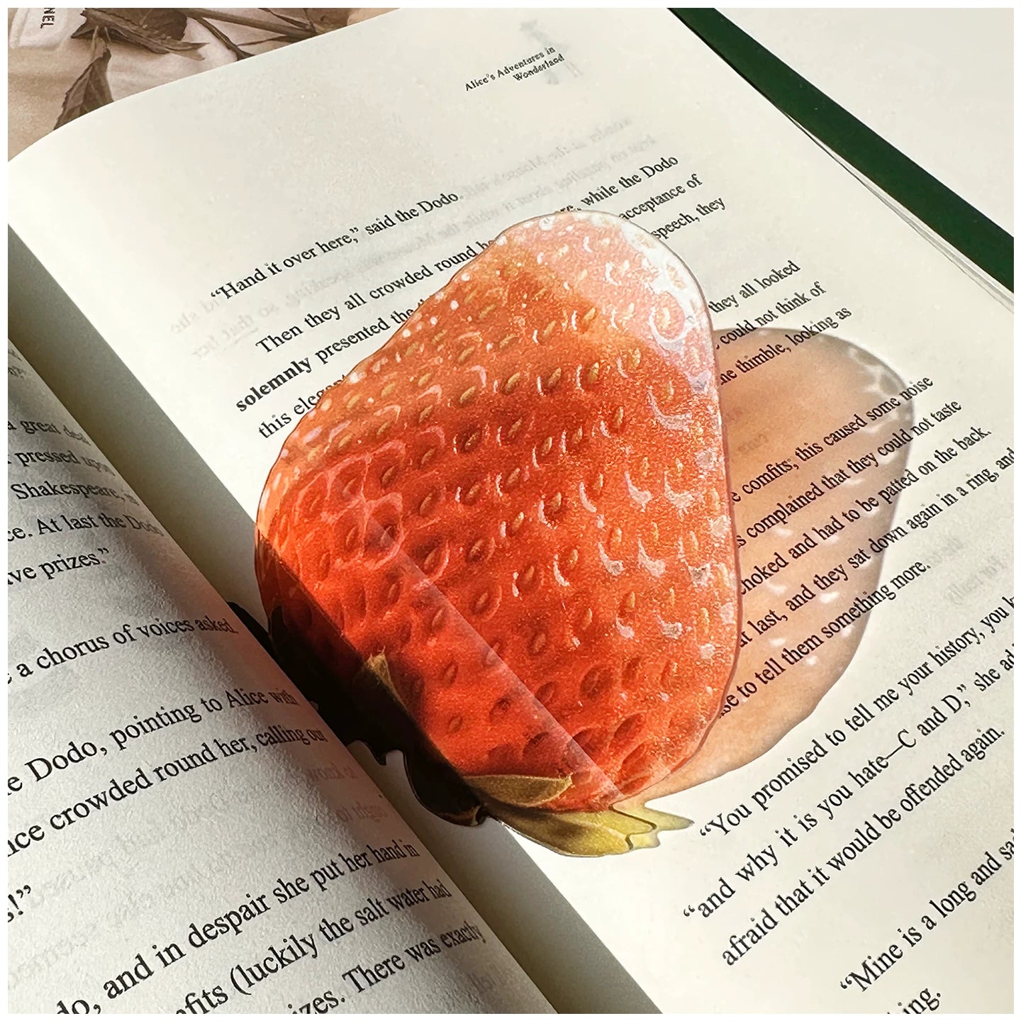 Acrylic Fruit Illustration Bookmark - Modomu