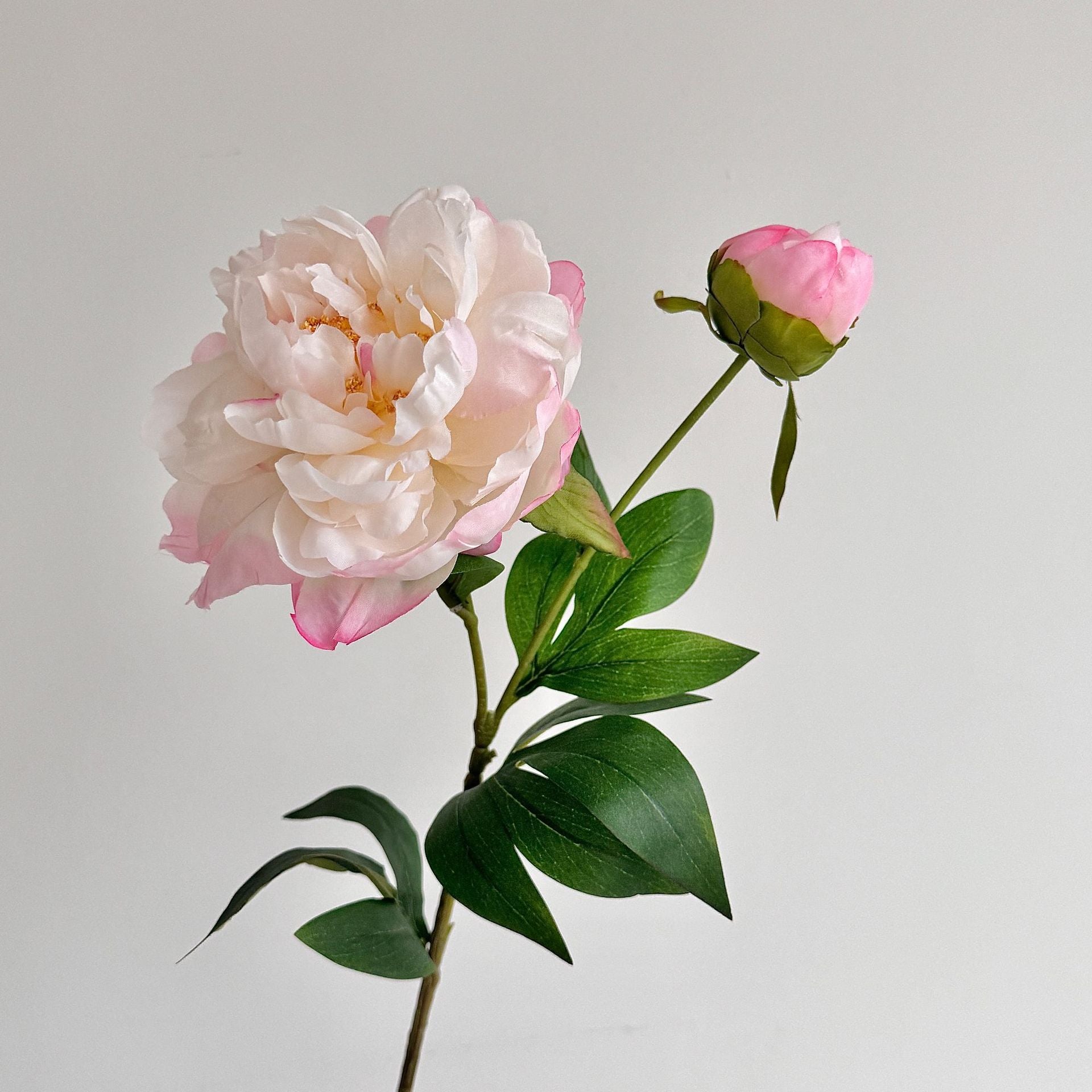 Artificial Peony Stem with Buds - Modomu